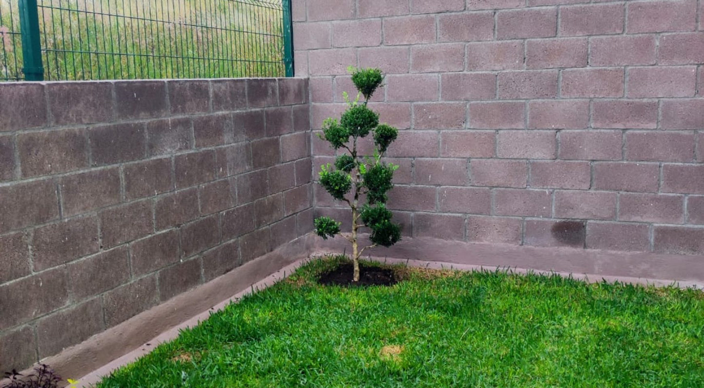 CASA EN VENTA EN LOMALTA TRES MARIAS, MORELIA