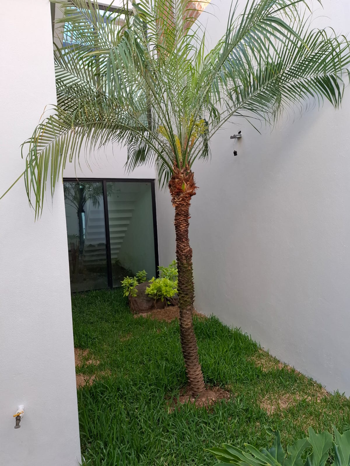 CASA EN RENTA EN AGUILAS ALTOZANO, MORELIA
