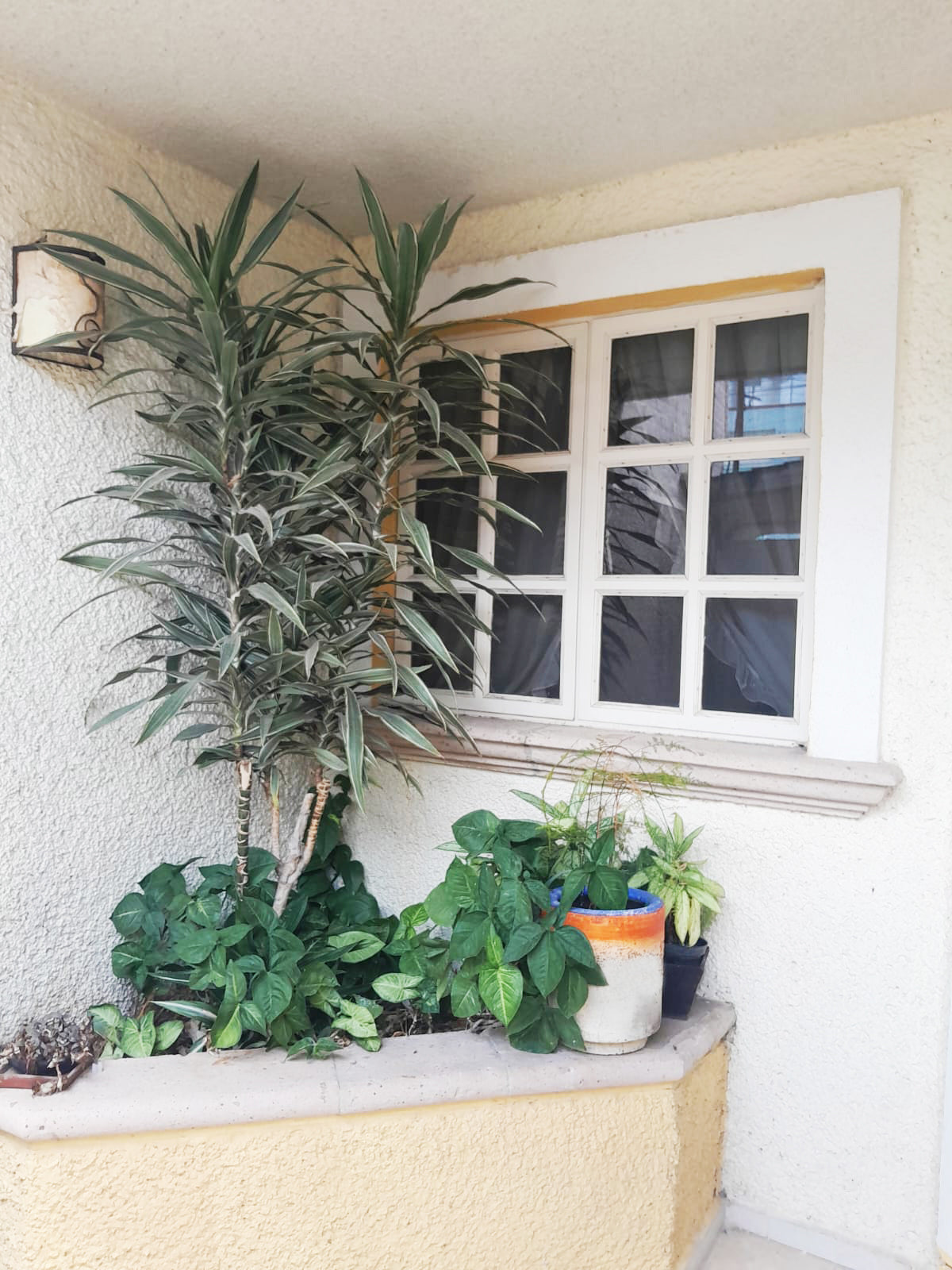 CASA EN VENTA EN FELIX IRETA, MORELIA