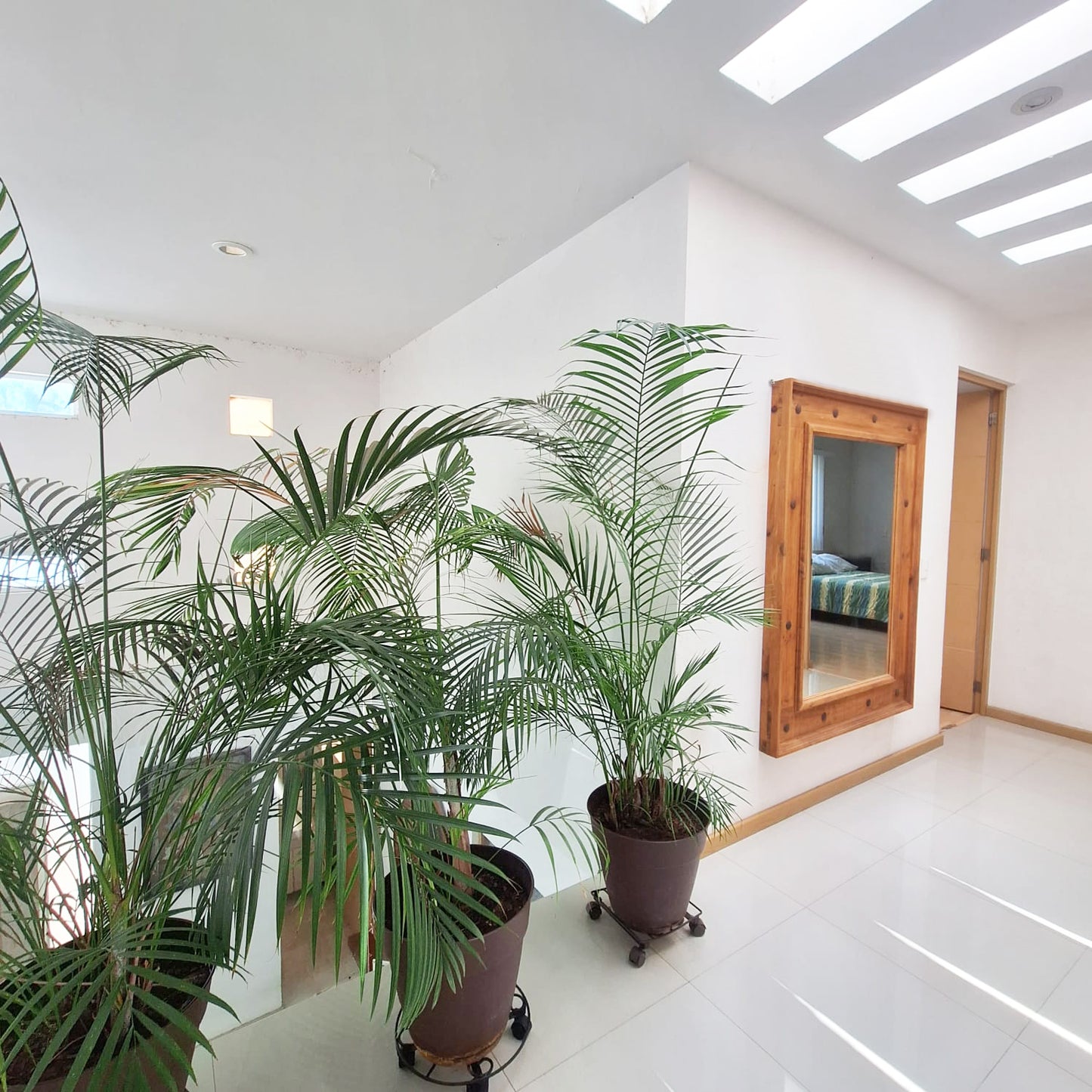 CASA EN VENTA EN PUNTA ALBA, MORELIA