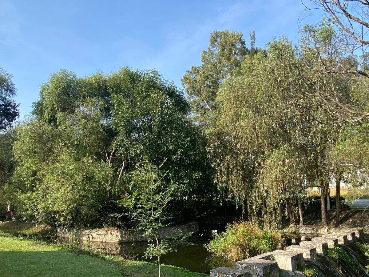TERRENO EN VENTA EN PASEO DEL PARQUE TRES MARIAS, MORELIA
